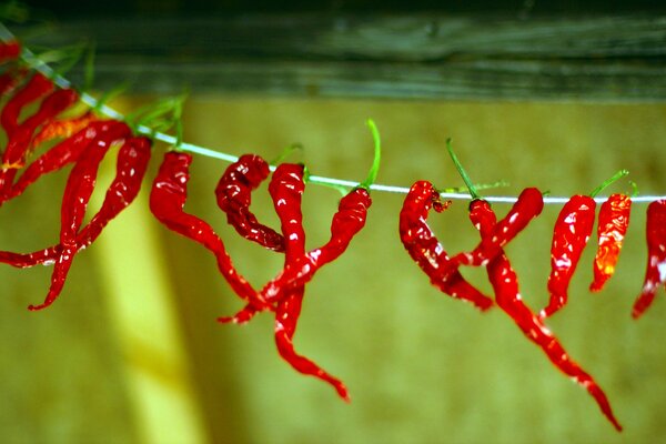 Un pimiento rojo cuelga de una cuerda