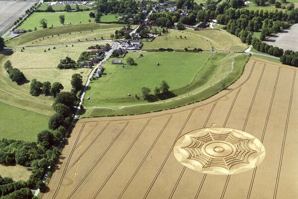 Unerklärliche komplizierte Kreise auf dem Feld