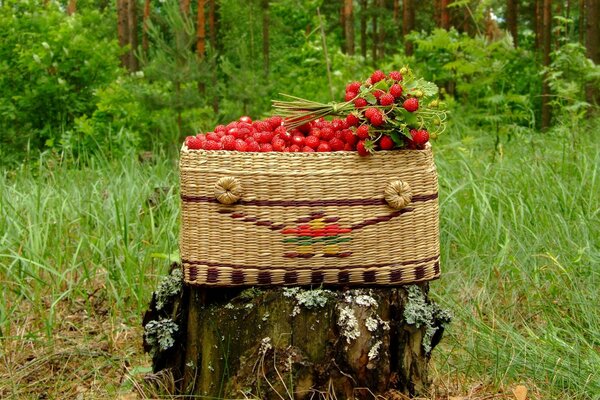 A basket of strawberries on a stump