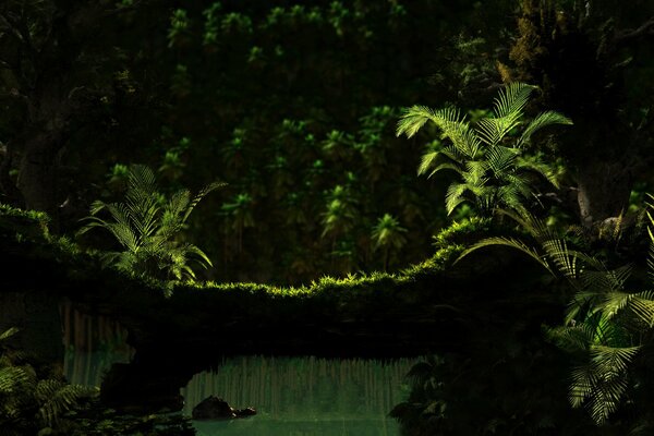 Bosque oscuro con helechos y un río tranquilo