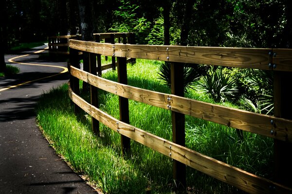 Strada asfaltata piana nella foresta con recinzione in legno