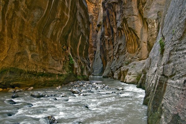 Water flows through a mountain gorge