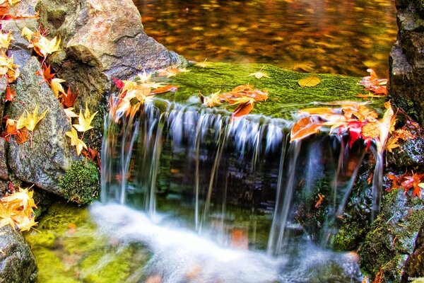 Flusso d acqua autunnale del mondo