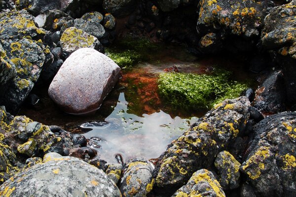 Una gota en el mar refleja el cielo