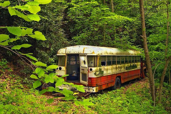 Alter Bus im grünen Wald