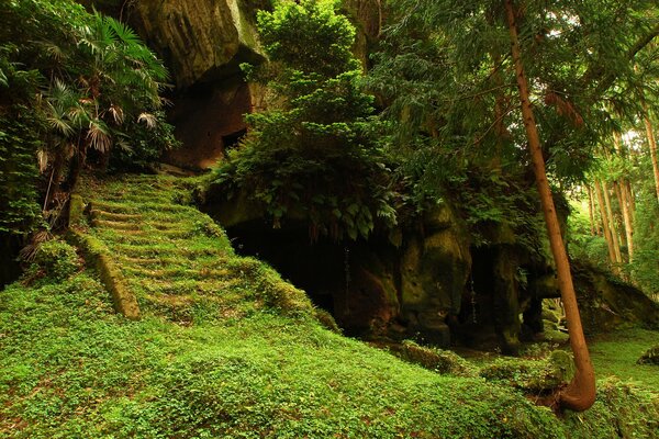 Ein verlassener Tempel in den Tiefen des Waldes