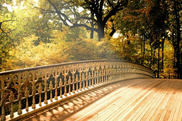 Paseando por el puente en el parque de otoño