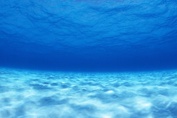 Die Schönheit der Tiefen des blauen Ozeans