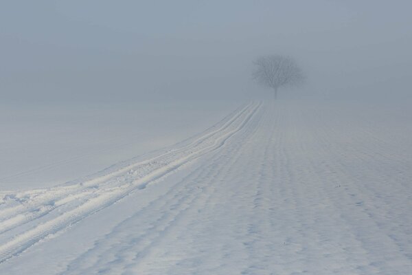 Nebeliger Wintermorgen im Dorf