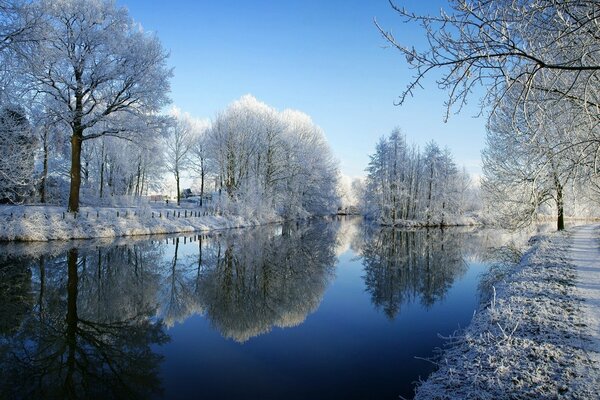 River in the winter forest