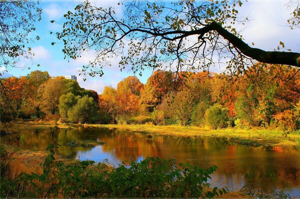 Goldener Herbst, Wald Fluss