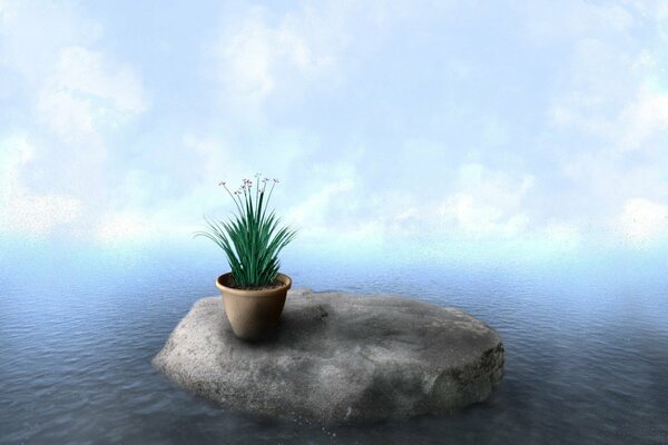 Ein Stein inmitten eines Flusses mit einem Topf mit einer Pflanze