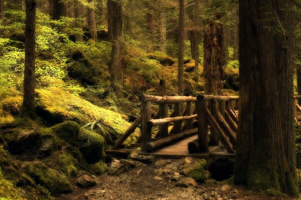 Die Holzbrücke ist die einzige Kreuzung hier