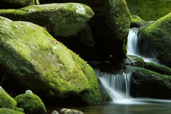 Waterfall roaring in mossy rocks