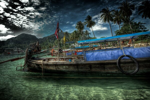 La barca galleggia sull acqua oltre le palme