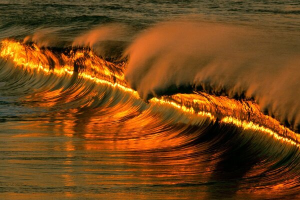 Vague de mer avec le reflet du coucher du soleil