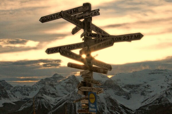 Pointer on the background of mountains and sunset