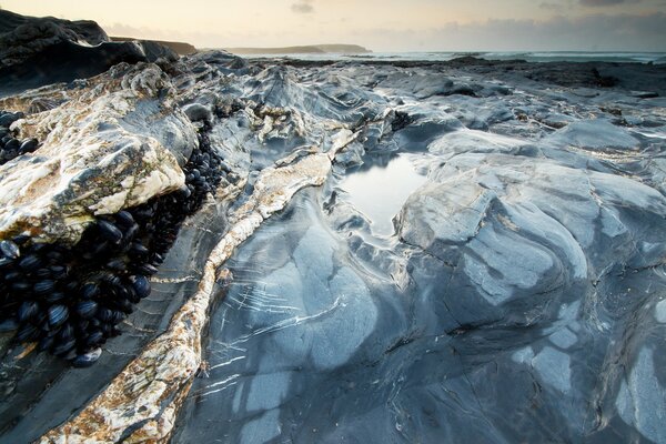 Orilla con rocas y hielo que sobresalen del agua