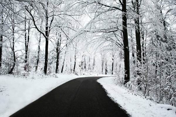 Winter road through the snowy forest