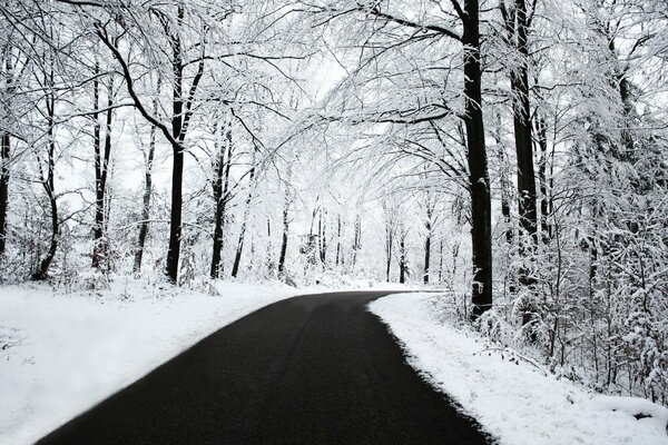 Zimowa droga przez śnieżny las