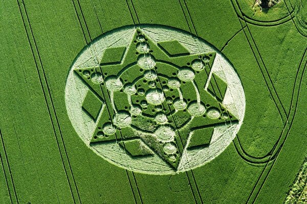 Crop circles, what can nature do