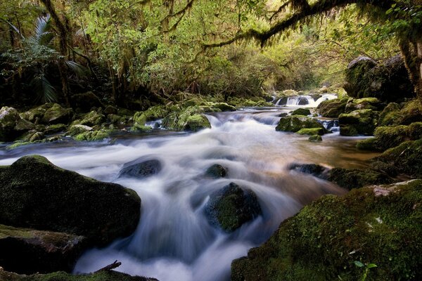 Beautiful waterfall among the rocks in the forest