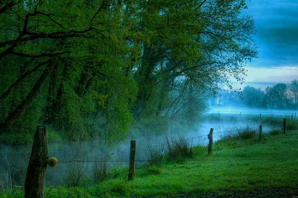 Morgen auf einer Wiese am Fluss mit Nebel