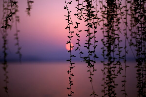 Sonnenuntergang am chinesischen See