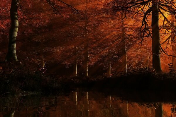 The red rays of the setting sun pierce the foliage of a dense forest