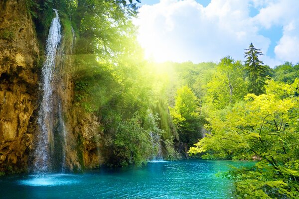 Buzzing waterfall under the flowering of nature