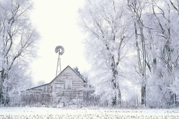 Winterfoto von Scheune und schneebedeckten Bäumen