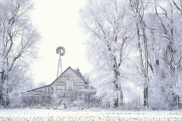 Winter photo of a barn and snow-covered trees
