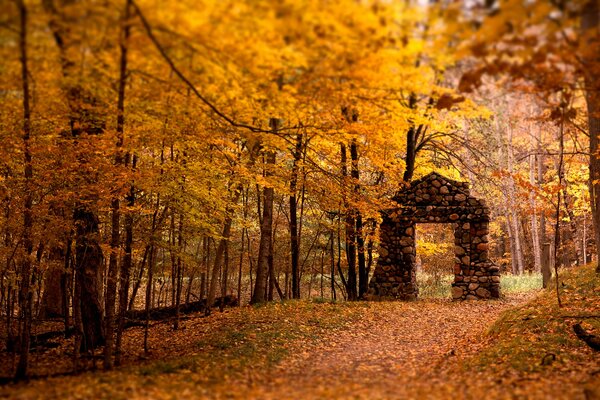 Photo arches dans le parc d automne