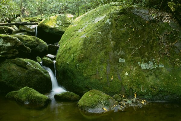 Schöne Bilder eines Wasserfalls auf Steinen