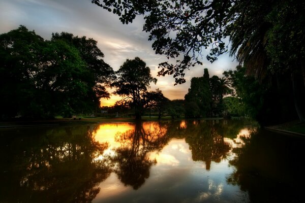 Dunkle Bäume und der Sonnenuntergang fallen im Wasser ab