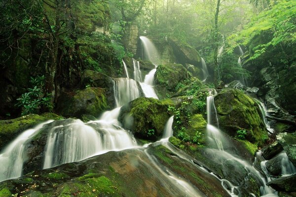 An unforgettable waterfall in the middle of the forest