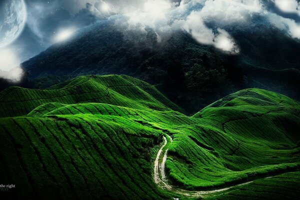 Strada in montagna attraverso la collina verde