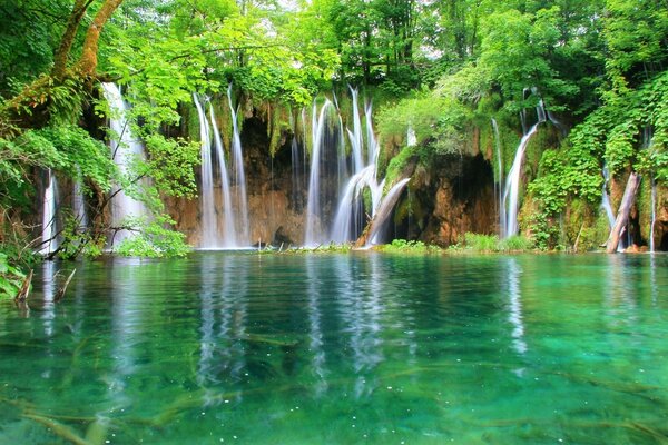 A waterfall in the forest descends into the lake