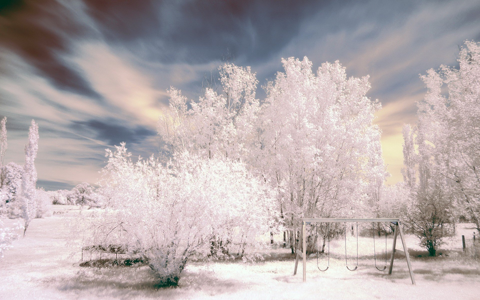 balançoire arbres blanc