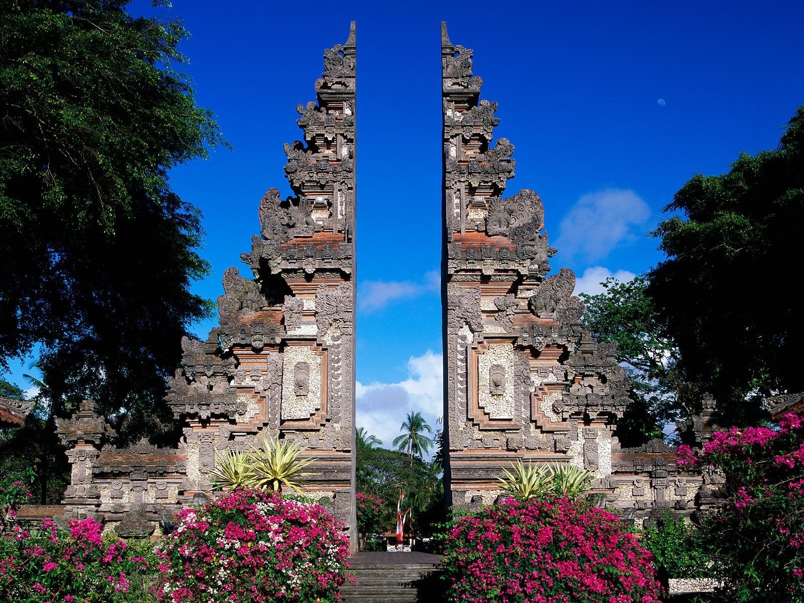 bali indonesia flower