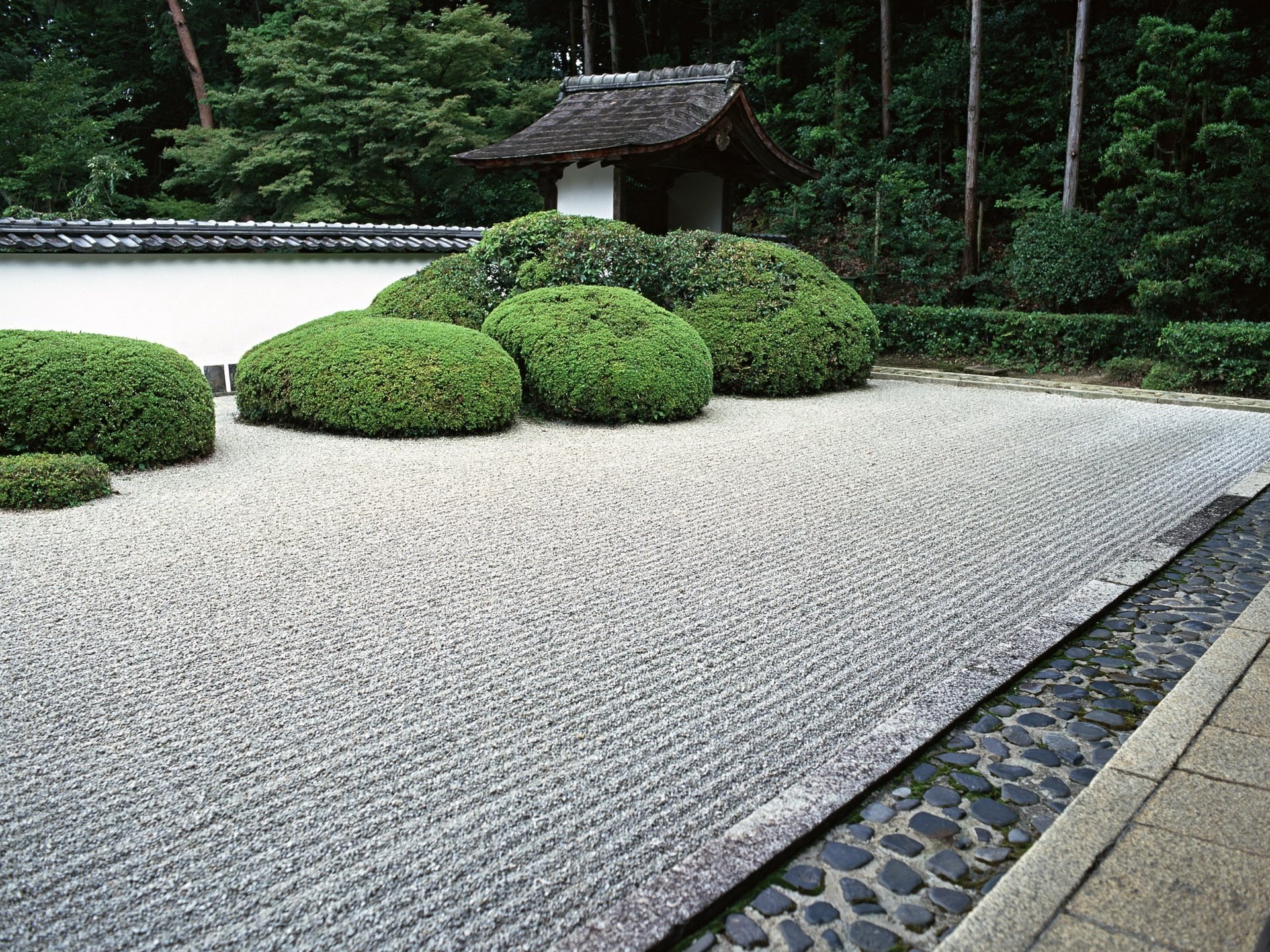 japón jardín arbustos