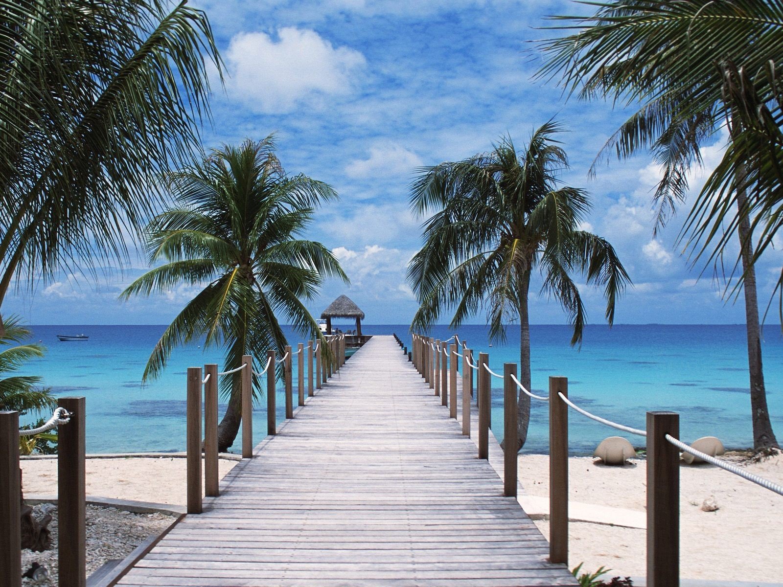 polynésie tuamotu plage