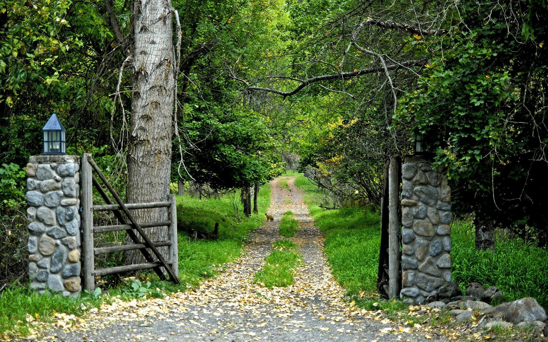 forest gates road