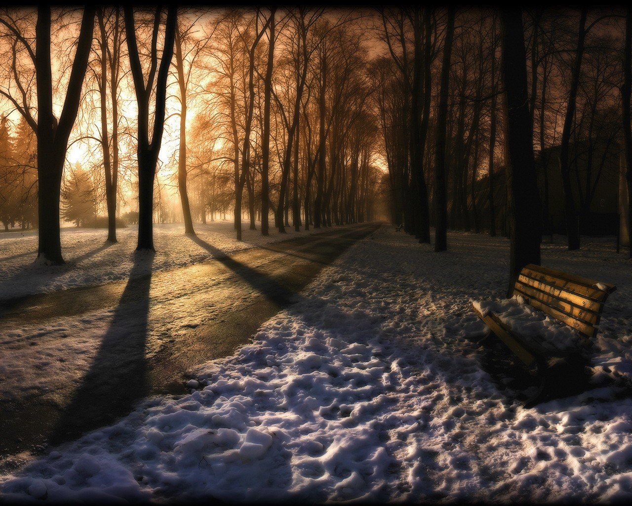 park bench winter trace