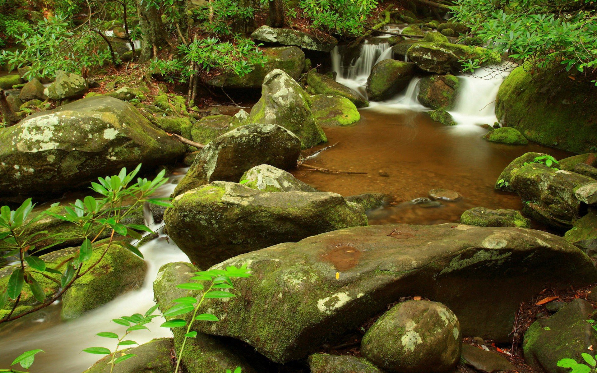 steine bach wasserfall blätter