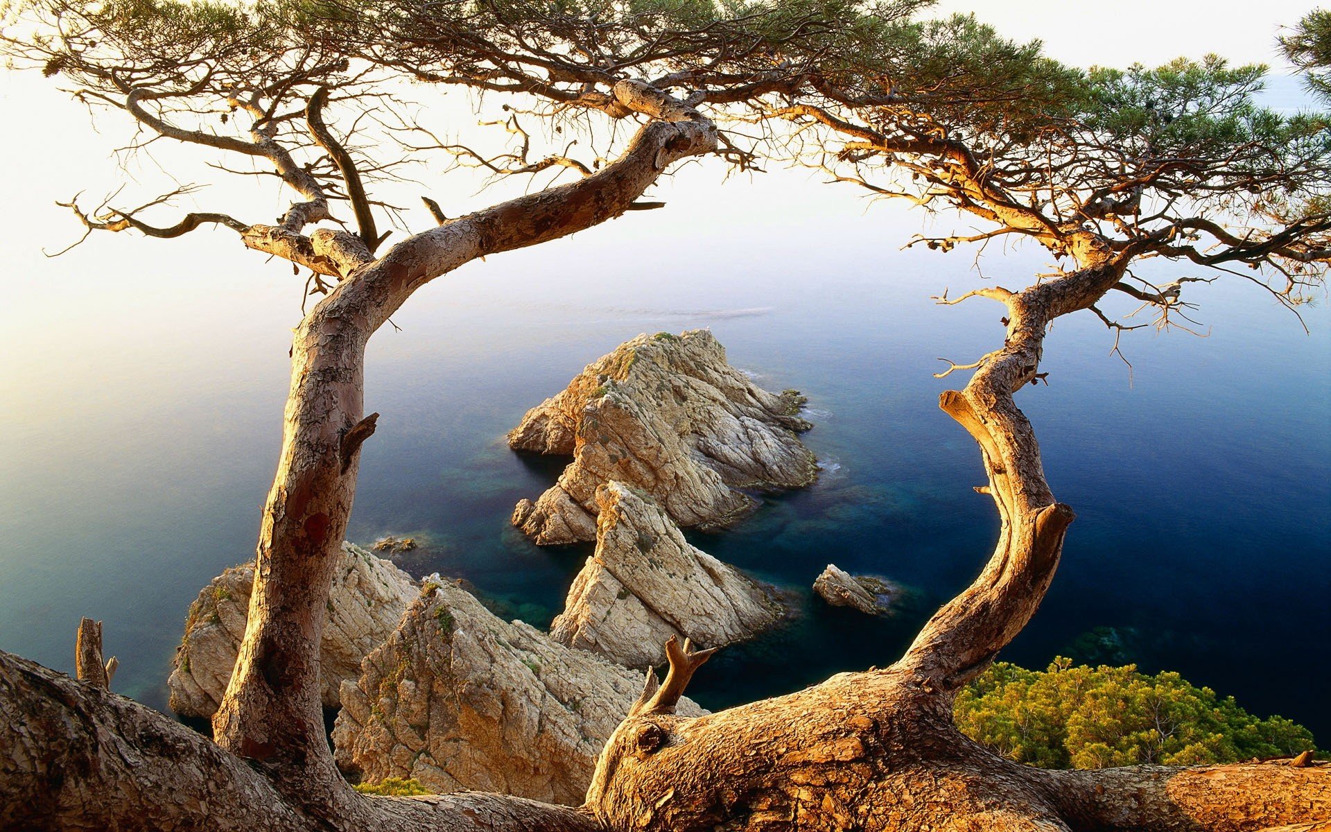 bäume felsen wasser