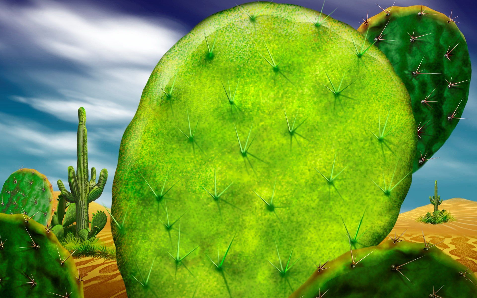 cactus green desert