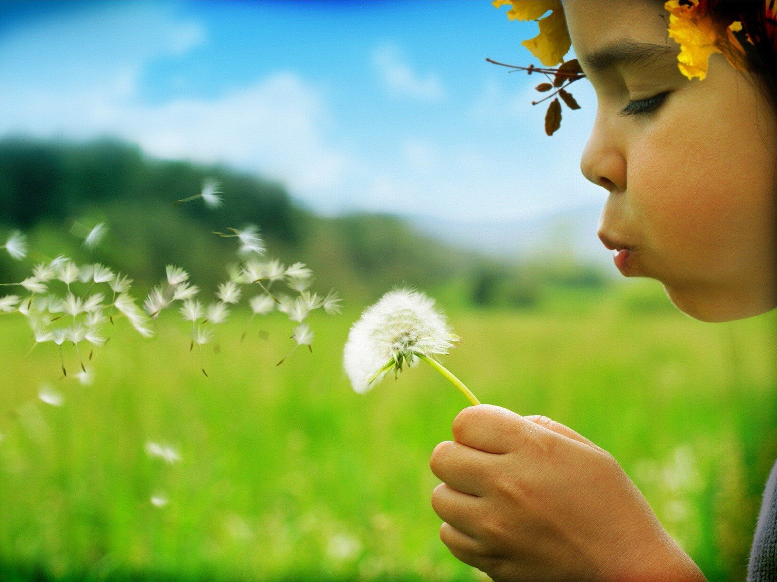 dandelion girl summer green