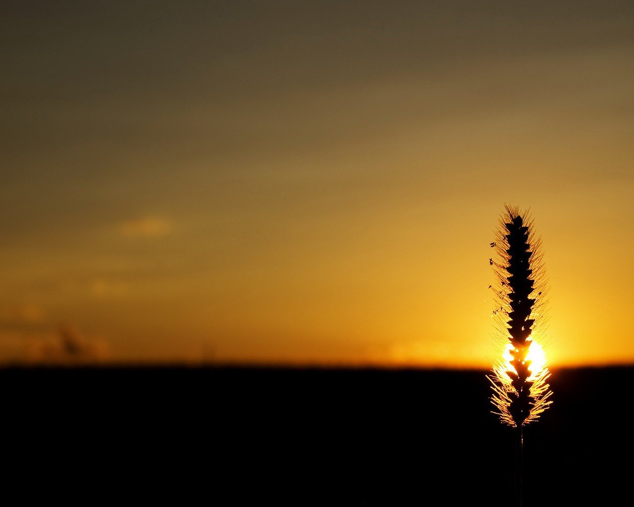 épi soleil coucher de soleil