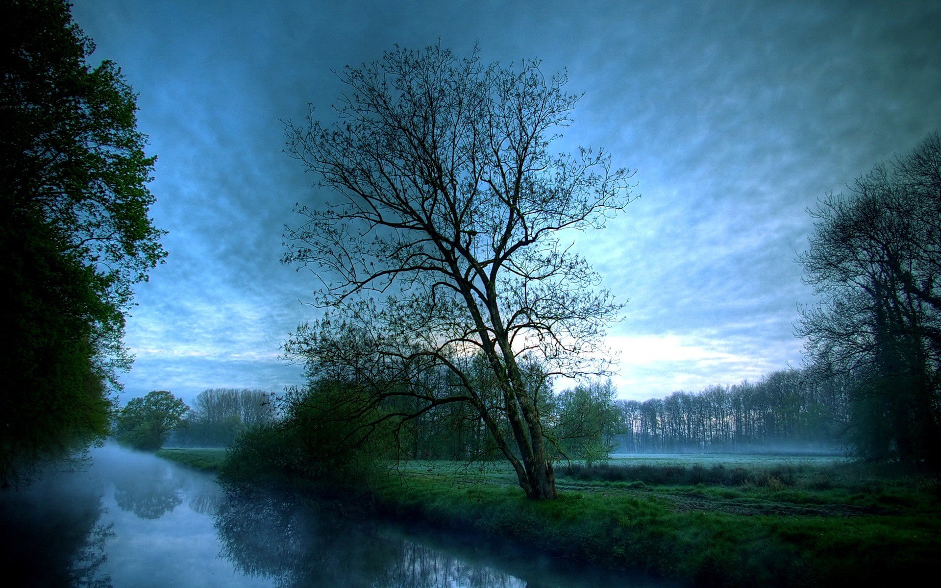 arbres brouillard nuages matin rivière